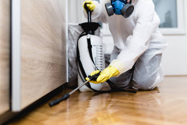 Pest Control Cost in Hanceville, AL