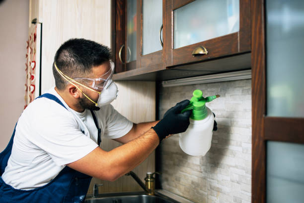 Best Local Pest Control Services  in Hanceville, AL