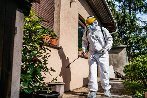Best Flea Control Services  in Hanceville, AL