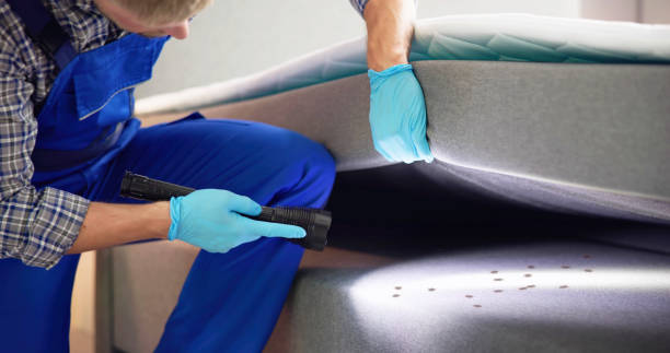 Best Pest Control for Homes  in Hanceville, AL