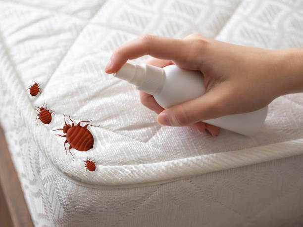 Best Pest Control Treatment  in Hanceville, AL