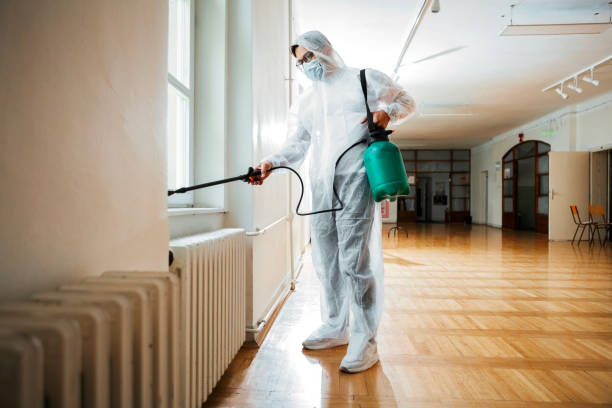 Professional Pest Control in Hanceville, AL